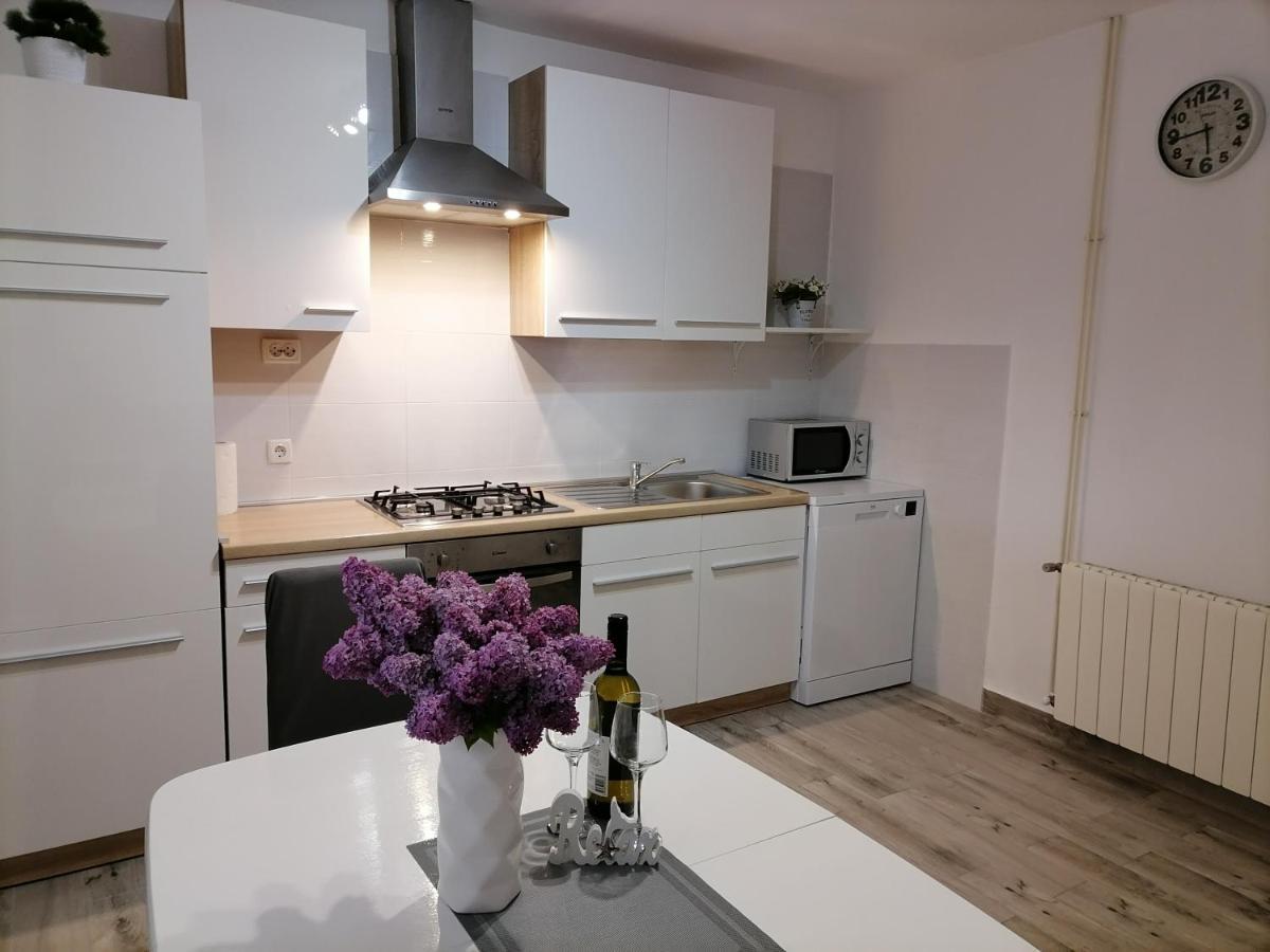 רייקה Apartman Nino מראה חיצוני תמונה